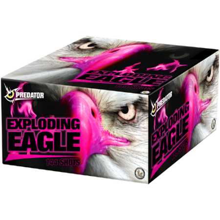 Lesli / Exploding Eagle / 89,-€ inkl. MwSt.